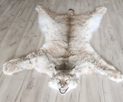 шкура рыси 125см
