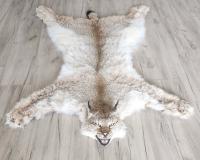 Шкура рыси 126см