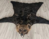 Шкура медведя 170см