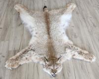 Шкура рыси 130см