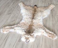 Шкура рыси 127см