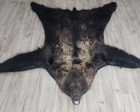 Шкура медведя 177см