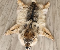 Шкура северного волка 127