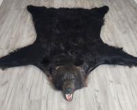 Шкура медведя 205см