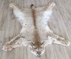 Шкура рыси 130см