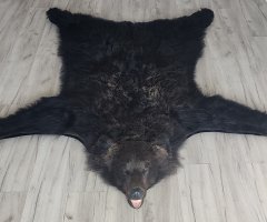 Шкура медведя 180см