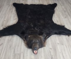 Шкура медведя 205см Шкура медведя 205см