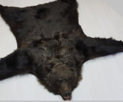 медведь