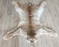 шкура рыси 128см