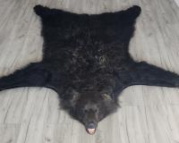 Шкура медведя 180см Шкура медведя 180см