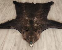 Шкура медведя 178см
