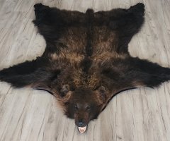 Шкура медведя 190см