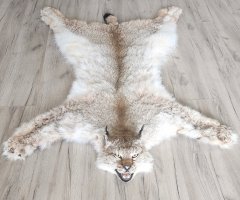 Шкура рыси 126см