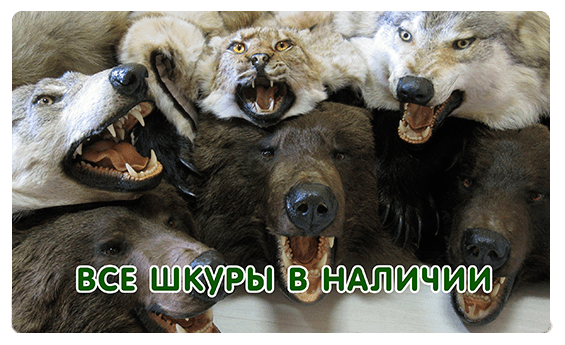 Все шкуры в наличии